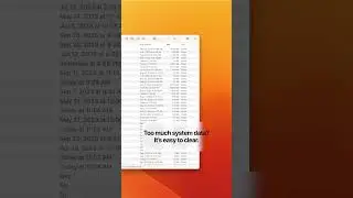 System Data taking up too much space? It's easy to delete.