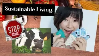 I went plant based | Living Sustainably