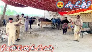 Qurbani Kay Janwar Janruin Kay Ly Gao Ka Intzam Ho Gia 😍