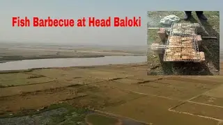 Head Balooki