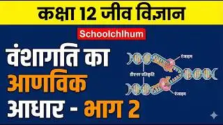 Molecular Basis of Inheritance Part 2 | Class 12 Biology in Hindi | वंशागति का आणविक आधार हिंदी