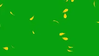 Autumn Oak Leaf Falling | Green Screen Video | Green Screen Library