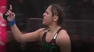 Cynthia Calvillo Highlights 2017 \\ 