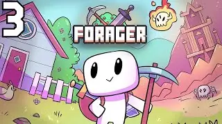 [3] FORAGER - Coins & Hammer!