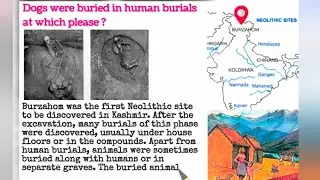 Dogs were buried in human burials at which place ?