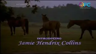 Southern Heart - My Family Channel Intro