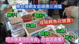 佛山順德。帶台灣網友逛順德三洲墟！成條鰐魚砍開賣！咁多廣東特色美食，你食過邊種？20251228