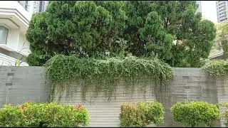 Assets Very Exclusive House  at  CBD Central Park, West Jakarta    ,  for sale