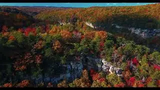 Folk guitar relaxing slow ambiance music - Ambiance Master