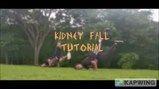Kidney Fall Tutorial