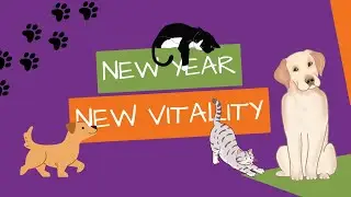 New Year, New Vitality For Your Pet
