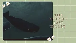 The Ocean&rsquo;s Last Secret | Beyond Blue (Ending)