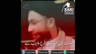 Tbara nahi chorein gay
