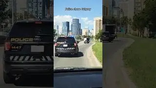Slow police chase Calgary || Alberta police 👮&zwj;♀️ 🚔 #police #Calgary #shorts