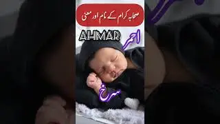 Sahaba Karam Name In Urdu With Meaning | Top 10 Sahaba Names | #shortvideo #sahabanames