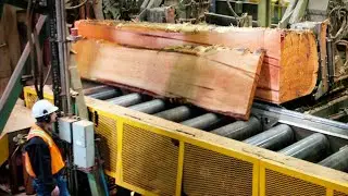 Automatic Modern Sawmill Technology Processing, Fastest Cutting Big Wood In Factory