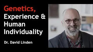 Genetics, Experience & Human Individuality &ndash; Johns Hopkins Leading Neuroscientist | Dr. David Linden