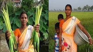 அதிகம் யாரும் அறியாத  சத்துமிக்க  சேம்ப மொட்டு + நாட்டு நண்டு குழம்பு /  Country Crab Curry,
