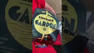 Recycle Coffee Ground for Your Garden and Pests?