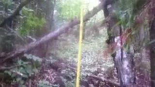 Bigfoot Sighting In Quebec. The investigation