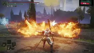 Greg Glintstone : Elden Ring Duelist Elite w/ ZTap