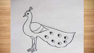 Как нарисовать павлина легко и поэтапно @DrawingTalent