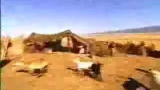 Lost ... but not that Lost! (2001)