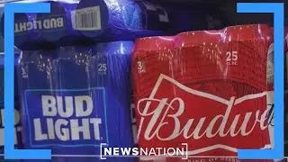 Bud Light gets pushback after partnering with TikTok creator | Morning in America