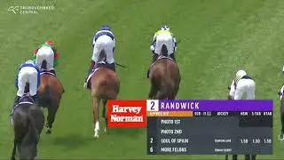 2025 ATC St Leger | Sam Hawkens, More Felons, Travolta