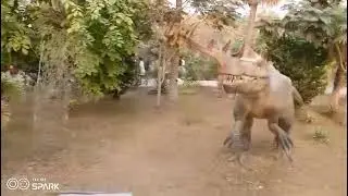 Dino Safari park 