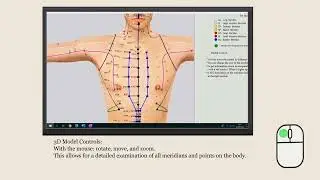 Software suite for learning acupuncture.