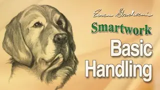 Smartwork: Retriever Handling for Beginners