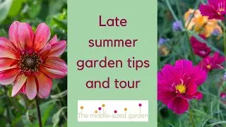 How to fill a gap in the late summer garden and other tips....it's the late summer garden tour