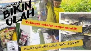 umpan dalang mantap - bahan dasar jagung