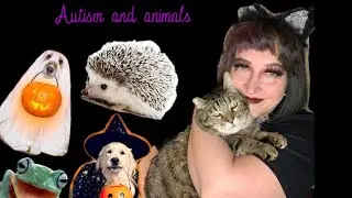 Animals and autism.