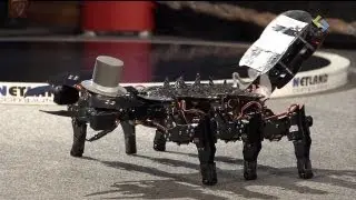 Robotic Arena - Międzynarodowe Zawody Robot&oacute;w