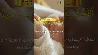 Powerful Dua Before Sleeping: Increase Protection and Peace of Mind