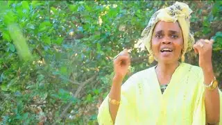 SHINIYEY / HEES CUSUB BOQORTOYADII GELEDI OFFICIAL MUSIC VIDEO ONKOD BAY (2024)