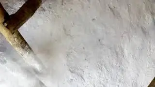 cobrindo o galinheiro com cal virgem pra tirar parasitas e bactérias .....