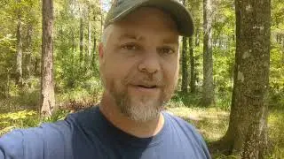 Easy Hog Trap for Deer Hunters!  Wild Hog Trapping!