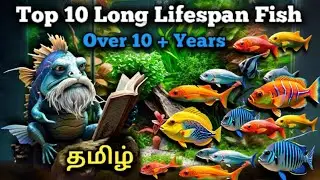 Top 10 Long lifespan fish || This Fishes can Live Over 10 + years || Tamil