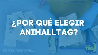 Microchips AnimallTAG vs. microchip comercial | Mascota-Trace