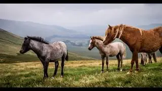 4 Peaks in One Day - Brecon Beacons