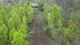 Land Clearing! #landscape  #treeremoval #trending #dronevideo #drone #djimini3pro #chainsaw #tree