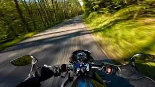Triumph Street Triple 765r [4K POV] - Chill commute home through the woods (Engine sound ONLY)