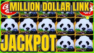 OMG We WON Full Screen WILDS JACKPOTS! Million Dollar Dragon Link Panda Magic Slot