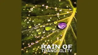 Pure Rain Shower