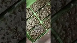 Waitrose Dark Chocolate Mint Thins #waitrose #mintchocolate #contentmarketing