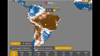 Carbon monoxide from Amazon wildfires indicate fast spread of fire