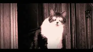 [FREE] 